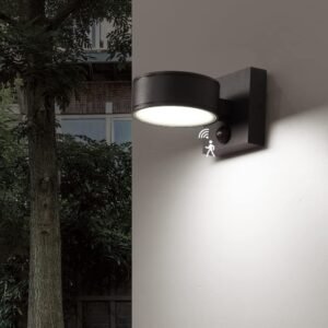 Outdoor light with motion sensor, aluminum outdoor wall light